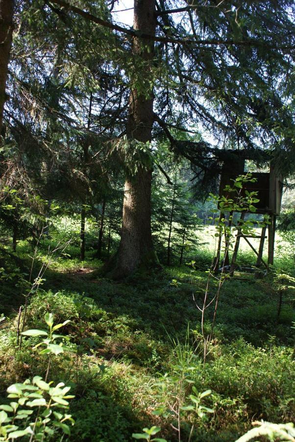 Gaestehaus Wuehrer Franking Zewnętrze zdjęcie